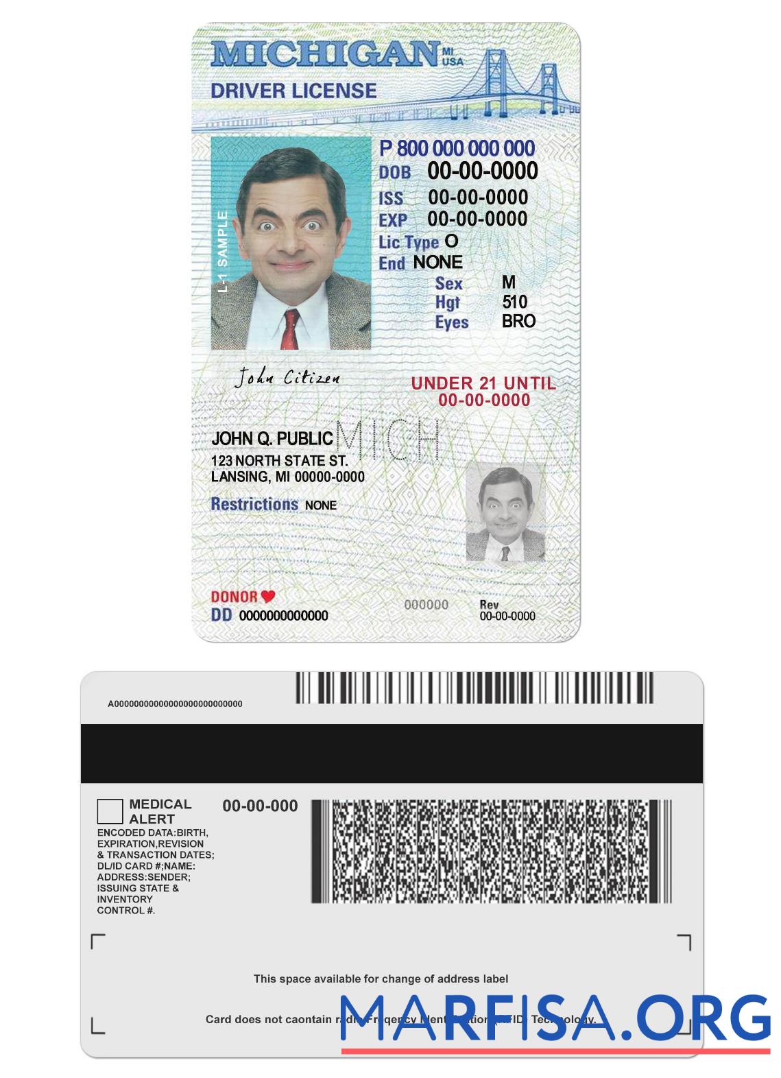 Realistic USA Michigan driving license under 21 sample